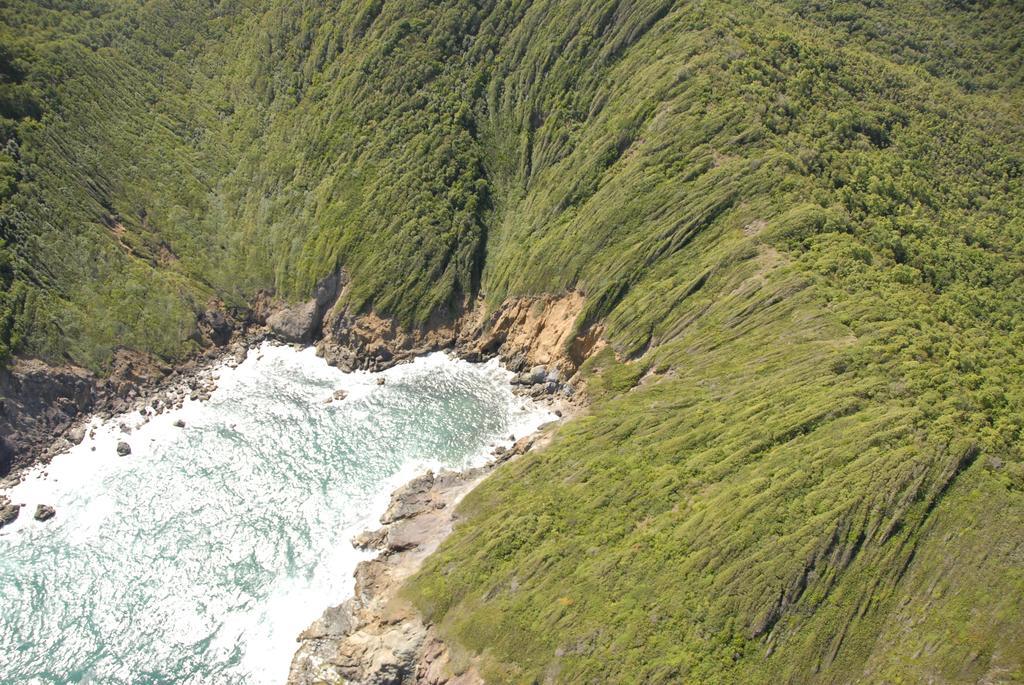 勒卡尔贝Carribbean Madicreole Au Carbet别墅 外观 照片